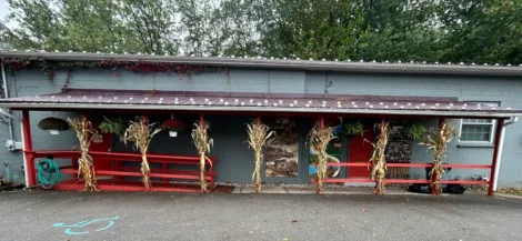 Renovo Library  leverages CCCF grant funds with its own money to give  building a facelift